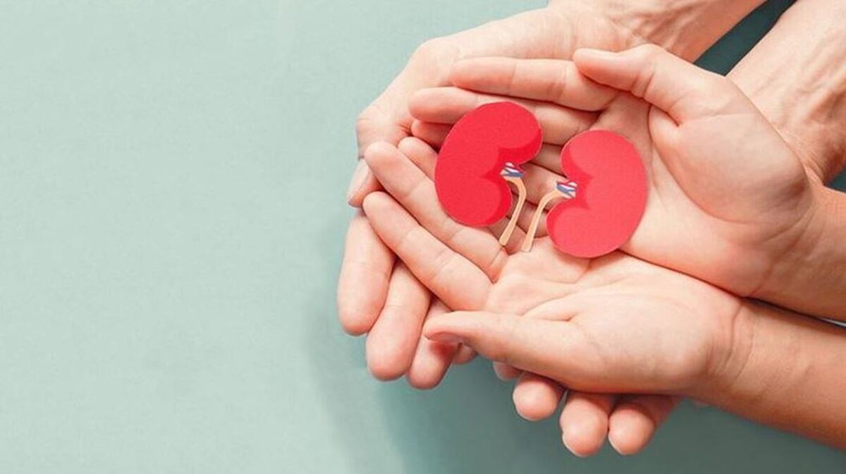 به کمک این مواد غذایی از شر سنگ کلیه راحت شوید