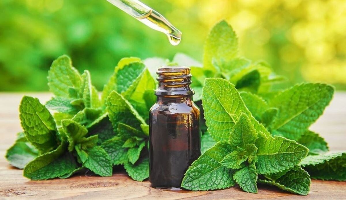 مراقب تاثیرات این روغن‌ها بر سلامت سیستم عصبی کودکان باشید!