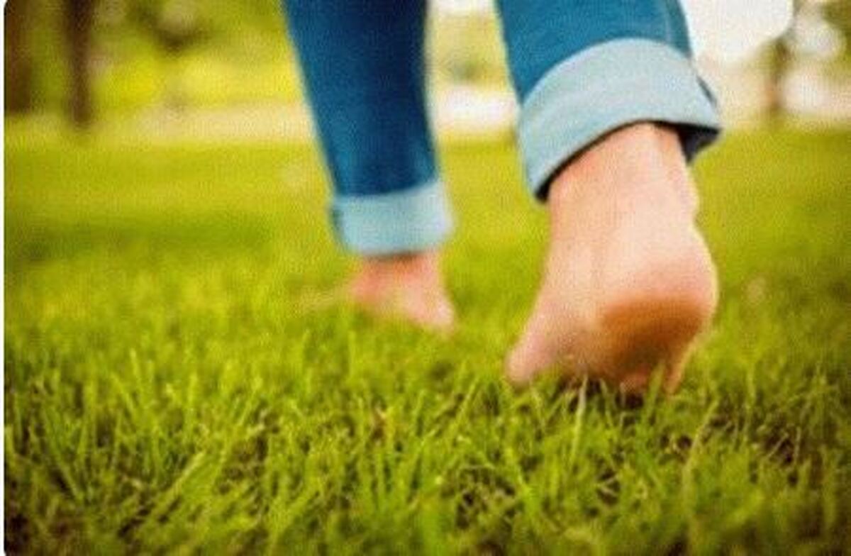 پیاده‌روی ژاپنی؛ ترند جدید برای رسیدن به تناسب اندام