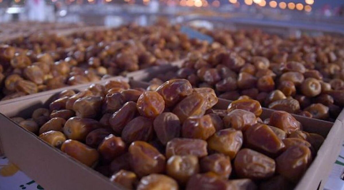 ایران دومین صادرکننده خرما در دنیا