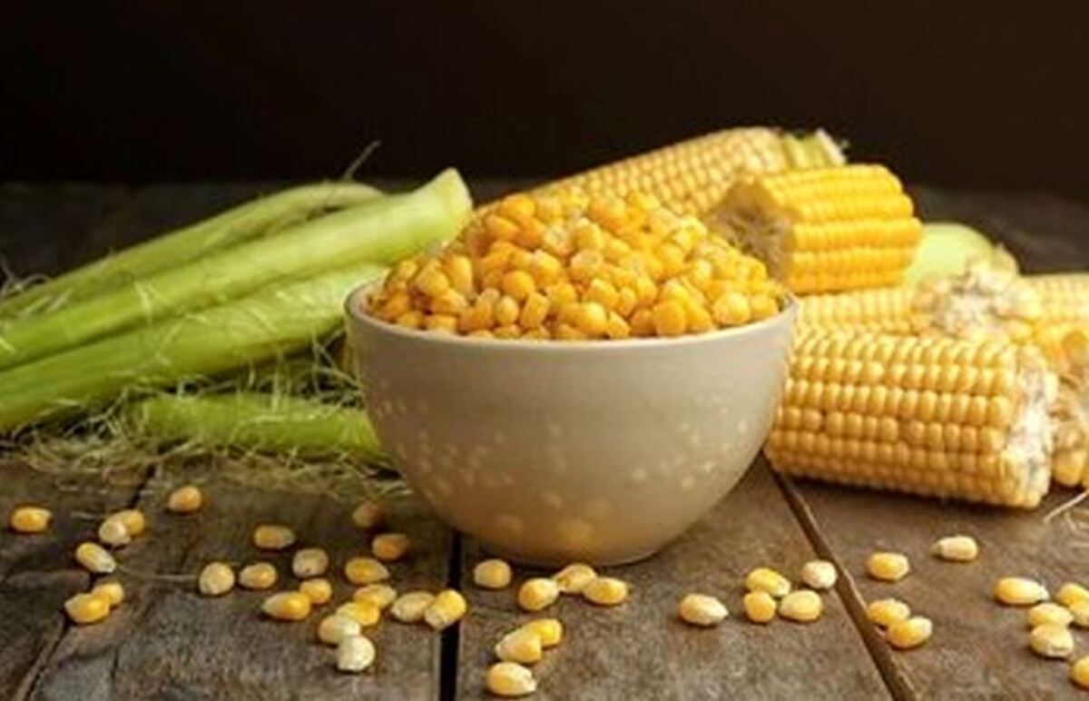 مصرف ذرت چه خواصی برای سلامت بدن دارد؟