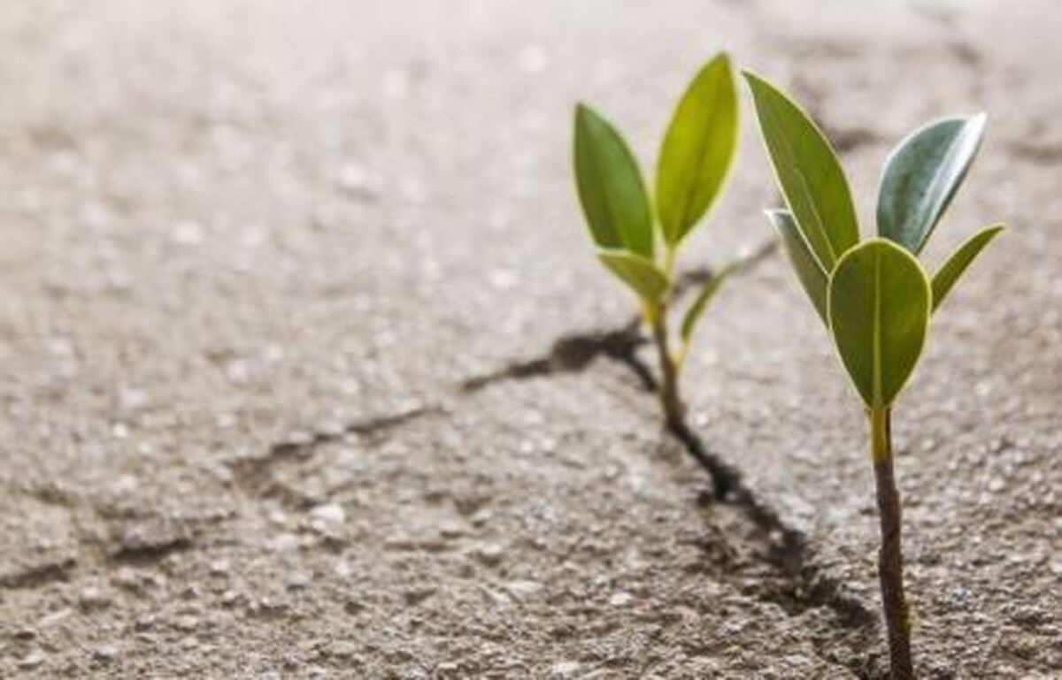 چند توصیه مهم و ساده برای داشتن سلامت روان و افزایش امید به زندگی