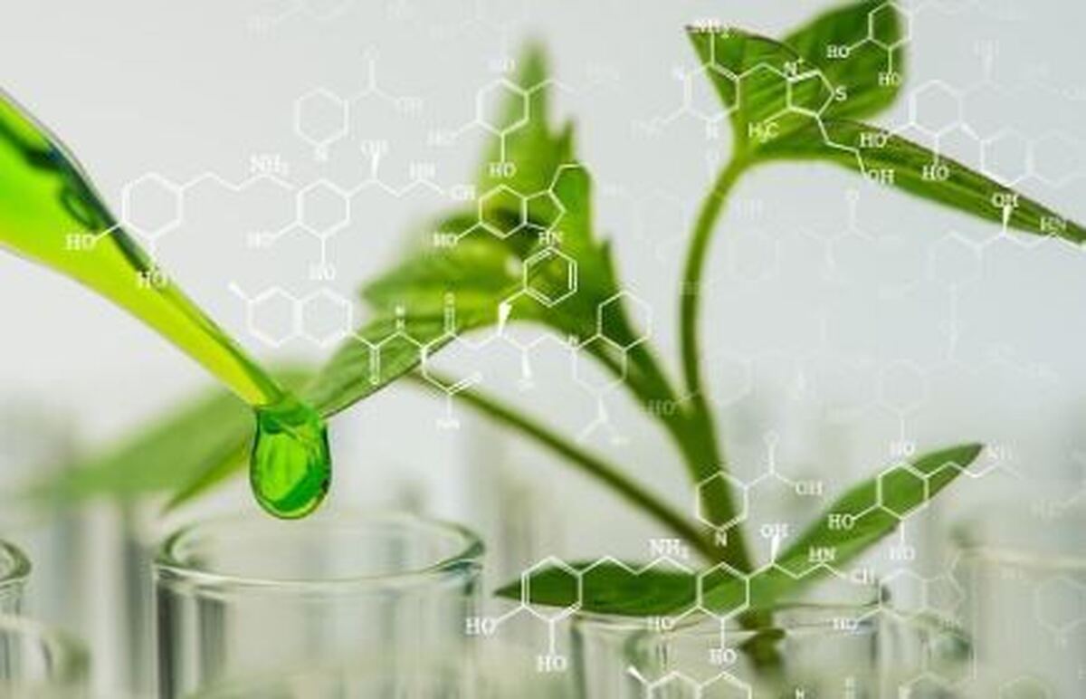 سپری نادیدنی برای محافظت از گیاهان در برابر بیماری‌ها
