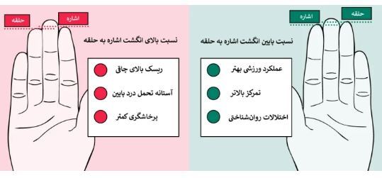 سایز انگشتان، شاخصی برای پیش‌بینی توانایی و تحمل فعالیت‌های شدید بدنی!