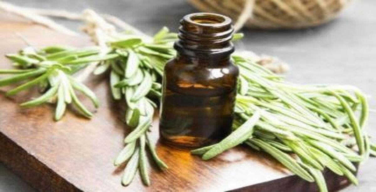 به کمک این روغن معجزه آسا رشد موهایتان را سرعت ببخشید
