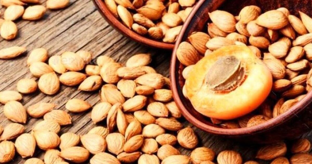 با فواید احتمالی هسته زرد آلو بیشتر آشنا شوید