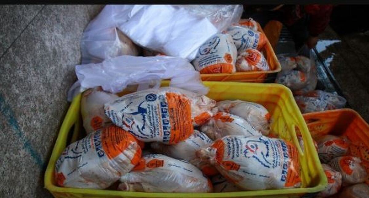 ذخایر گوشت مرغ در محدوده ۳۰ هزارتن است