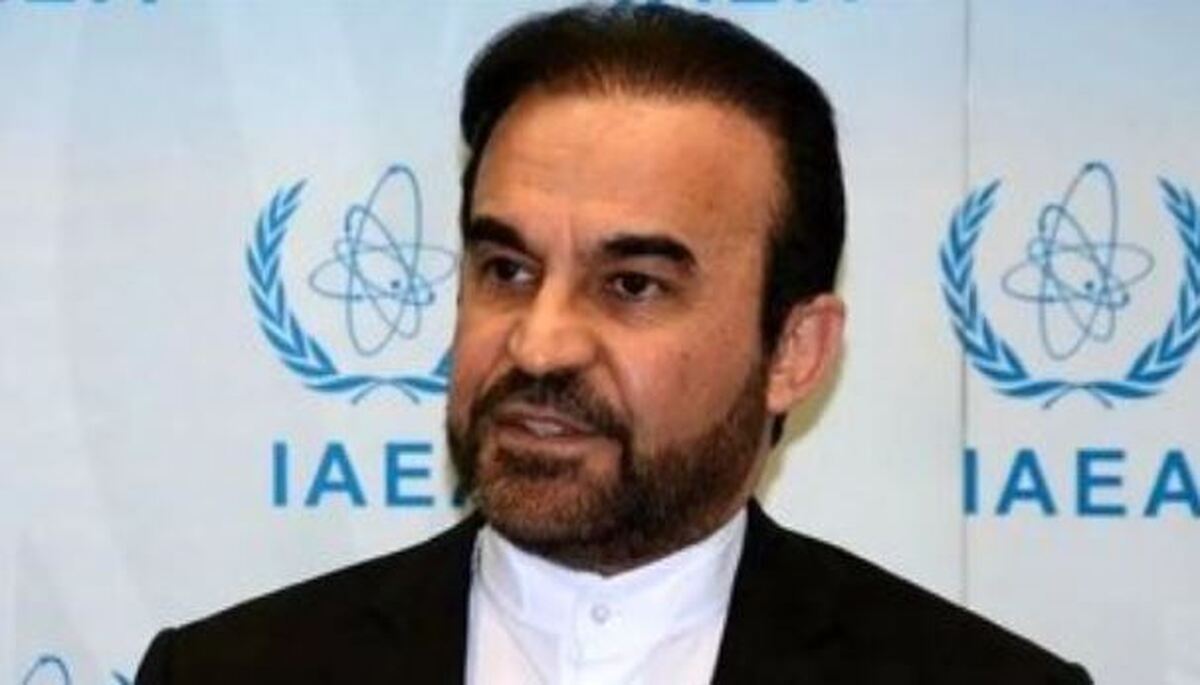 نماینده ایران در آژانس انرژی اتمی: خروج یا عدم خروج از ان پی تی منوط به تحولات پیش رو است