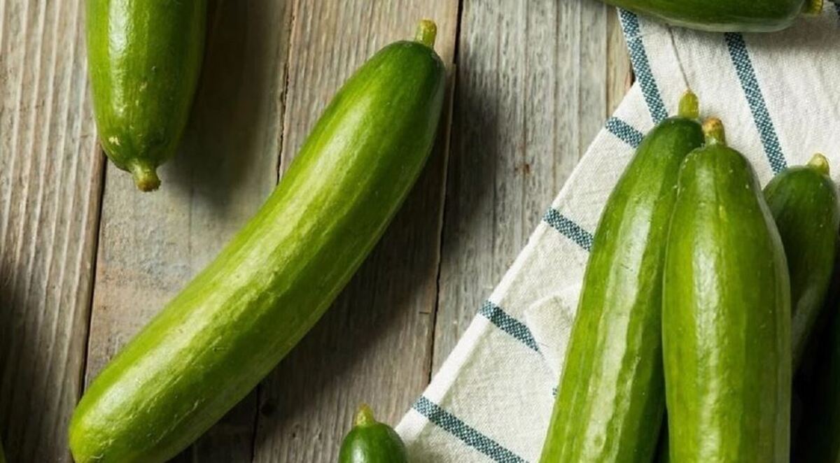 فواید مصرف روزانه «خیار»