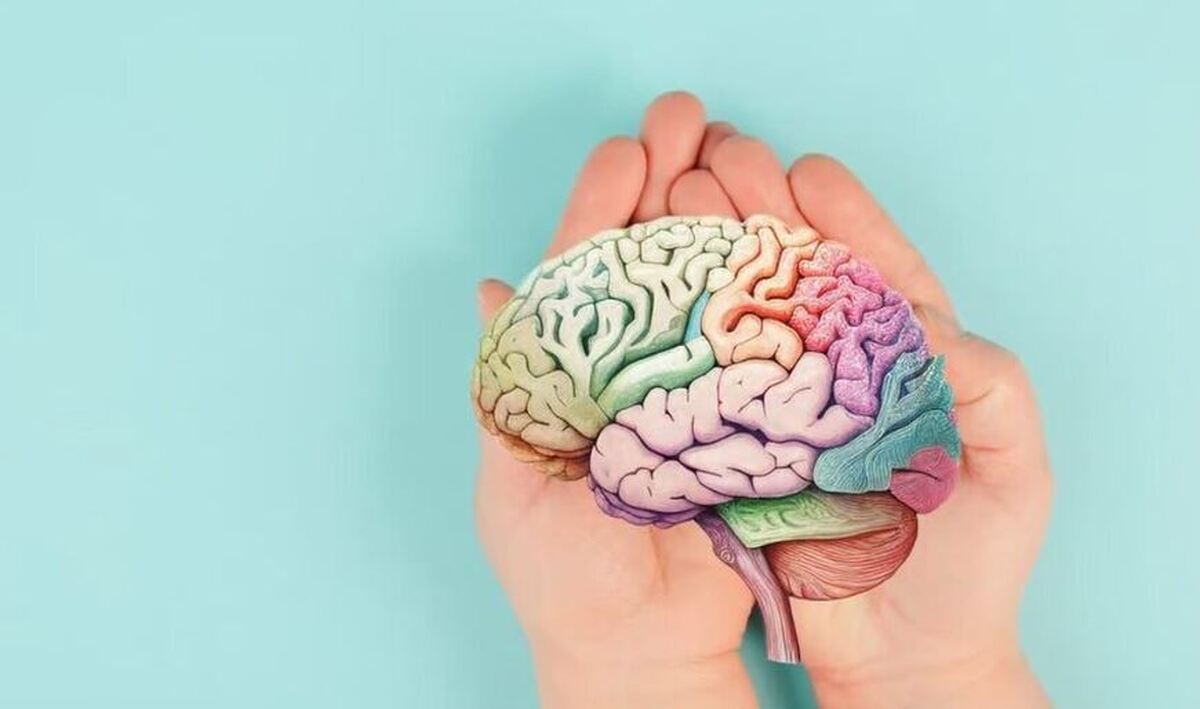چگونه مانع از پیر شدن مغز شویم؟