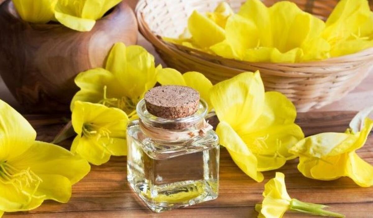 استفاده از روغن گل مغربی چه خواصی دارد؟