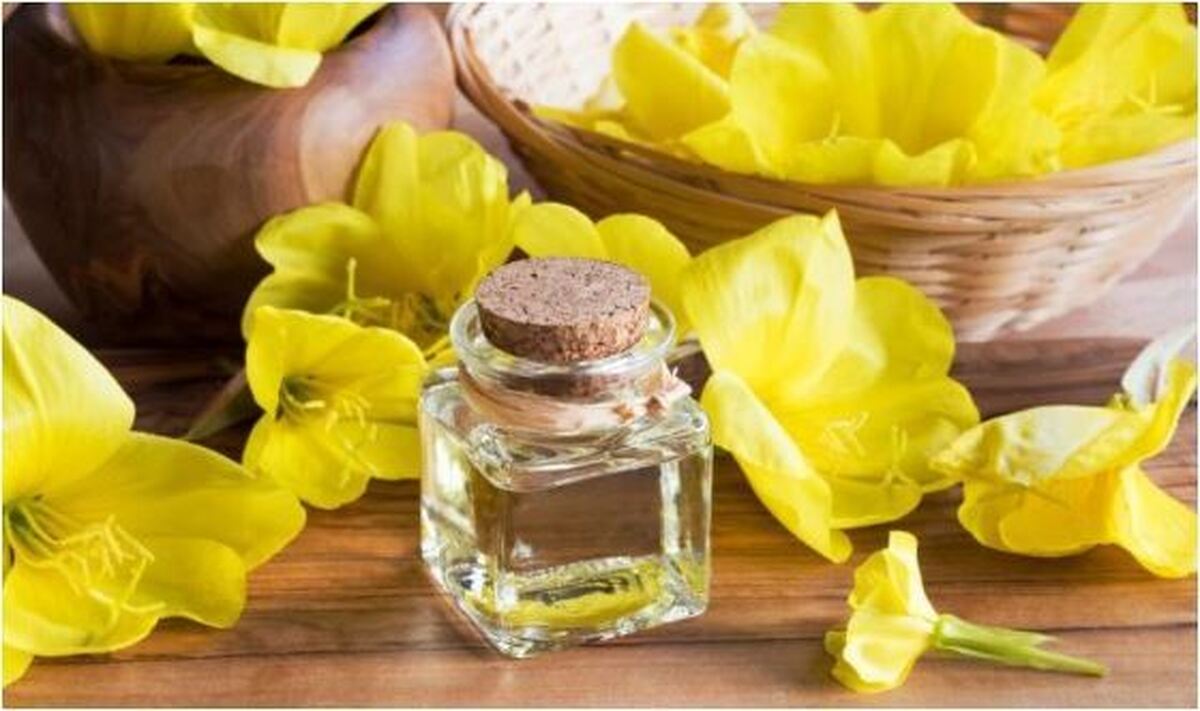 چگونه از خواص روغن گل مغربی بهره‌مند شویم؟