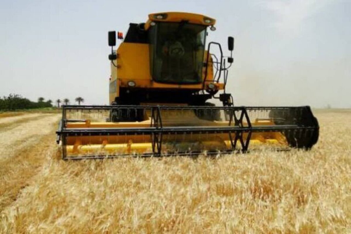برداشت جو در بیش از ۳۸ هزار هکتار از اراضی آذربایجان غربی