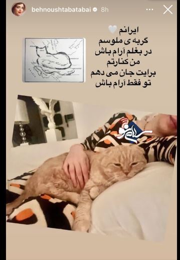 استوری مفهومی بهنوش طباطبایی با گربه اش وایرال شد!