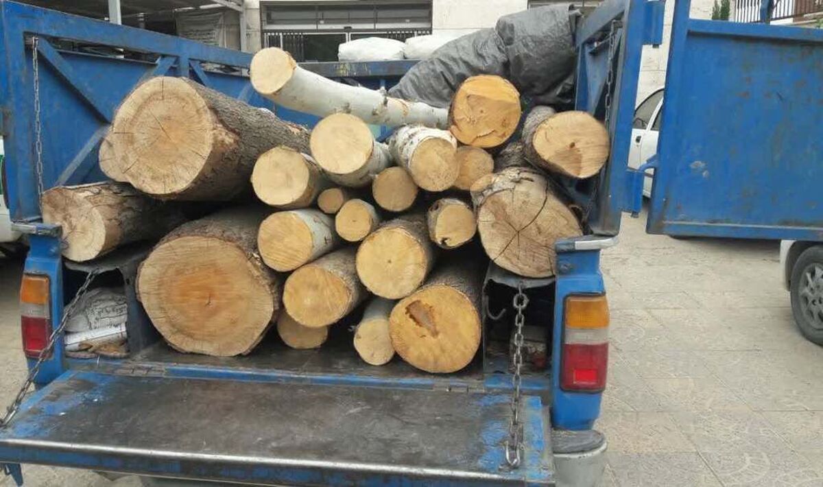کشف یک تن چوب آلات جنگلی قاچاق در شهرستان خلخال
