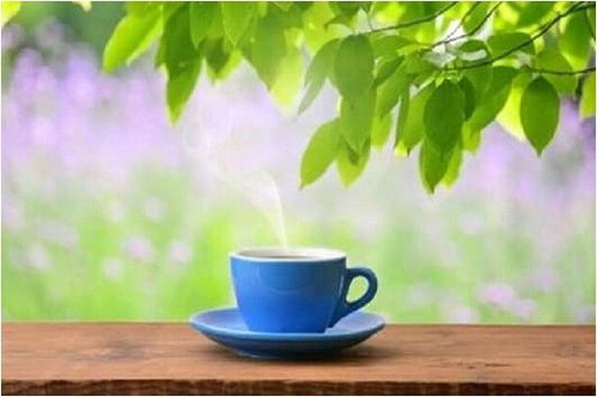 نقش تغذیه خوب و سالم در کاهش استرس را جدی بگیرید