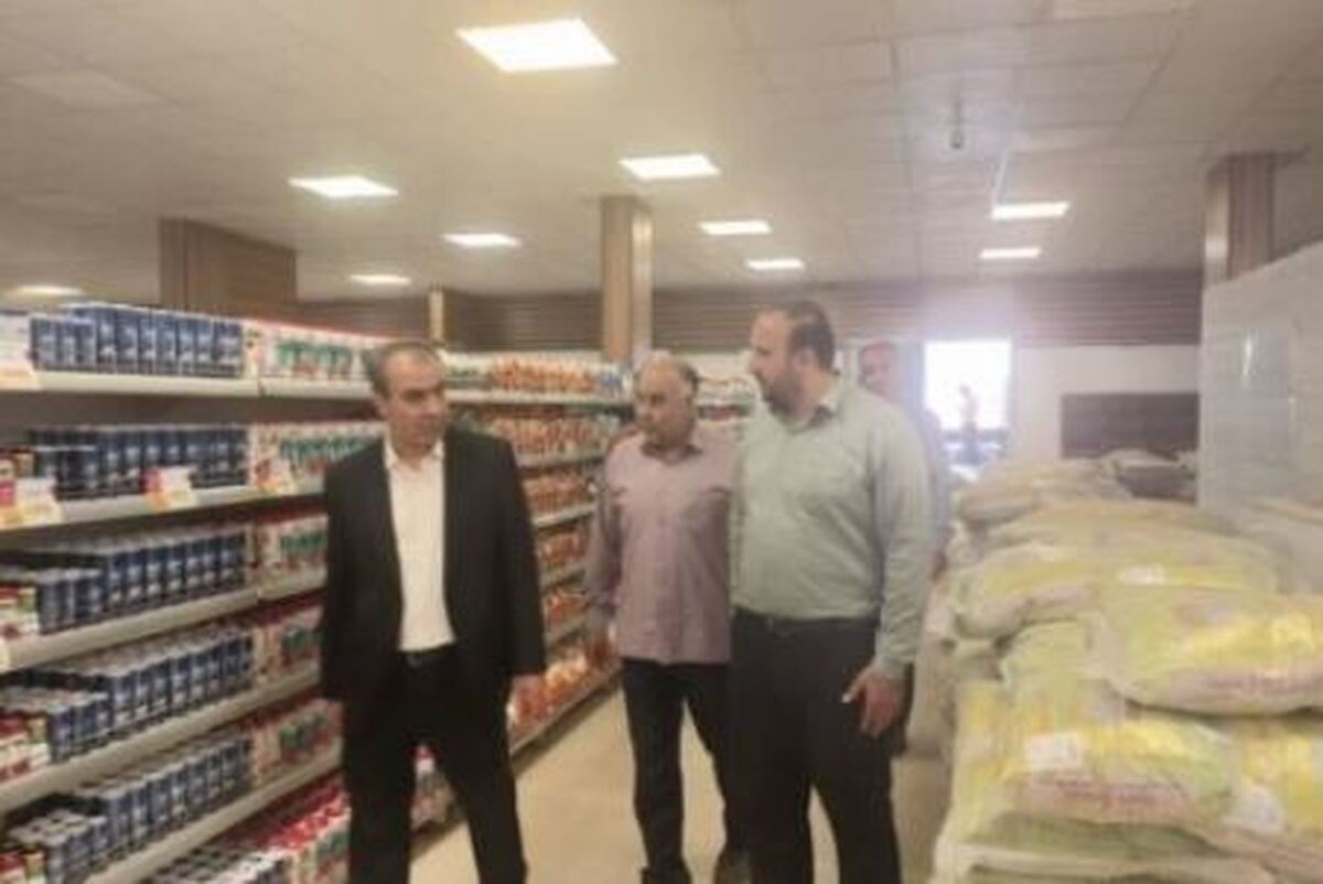 مدیرکل صمت همدان از فروشگاه‌های زنجیره‌ای این استان بازدید کرد