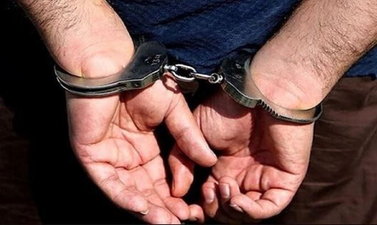 دستگیری عامل موساد همراه با تعداد زیادی ریزپرنده انتحاری در تهران