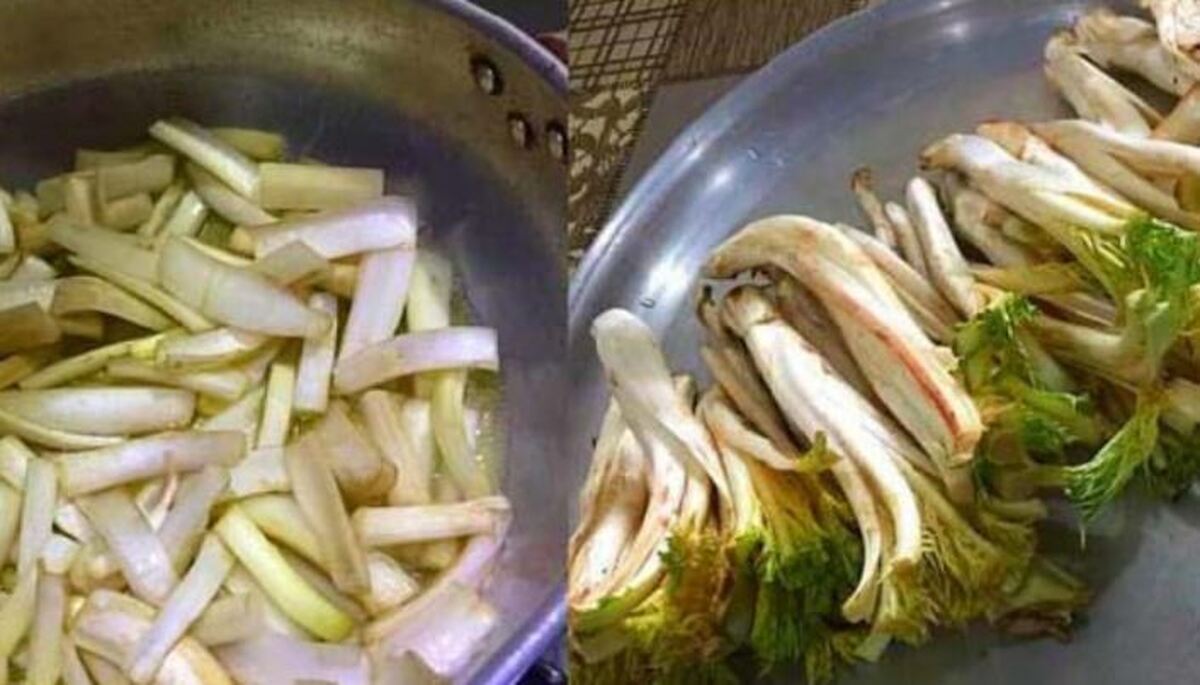 کنگر پلو یک غذای مفید برای درمان مشکلات کبدی / دستور پخت