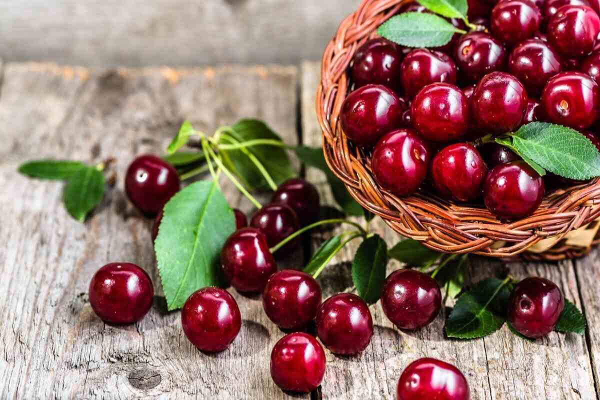آفات رایج میوه‌های تابستانی چه تاثیری بر سلامت انسان دارند؟