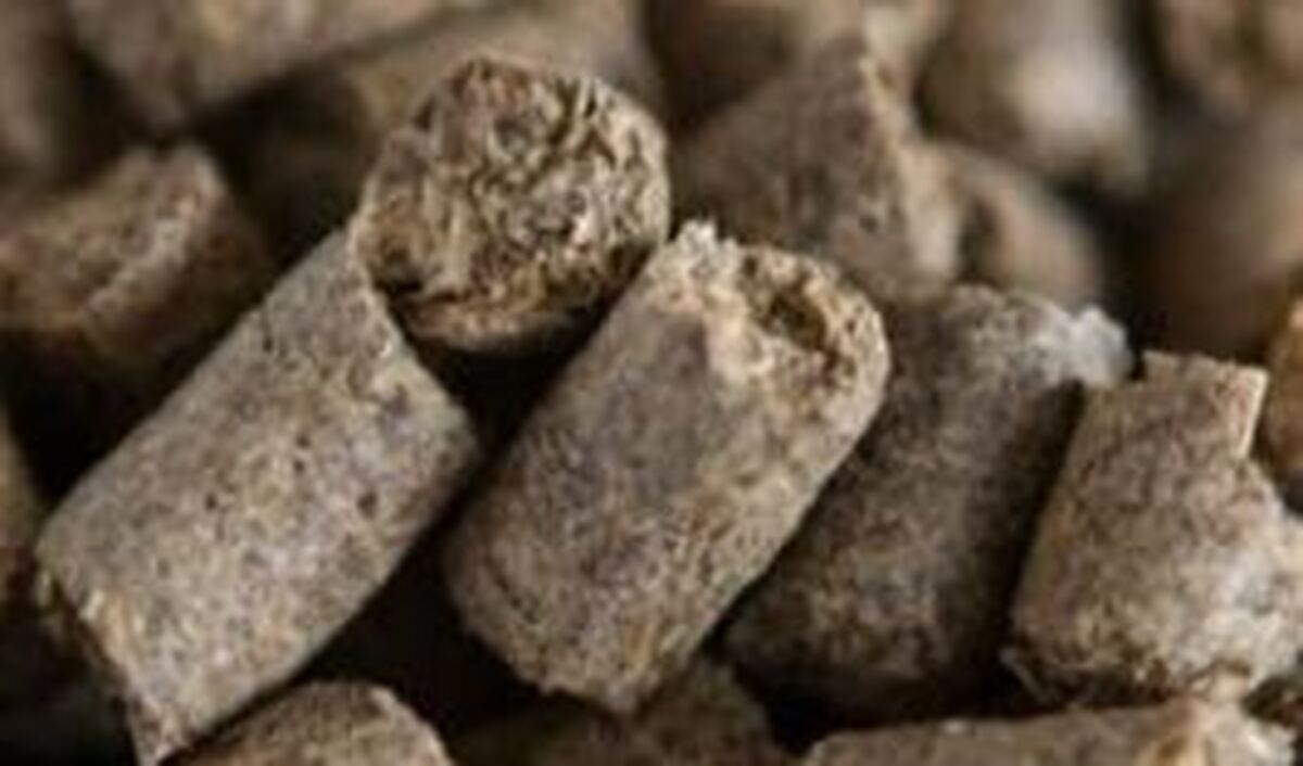 صادرات تفاله چغندر و نیشکر آزاد شد
