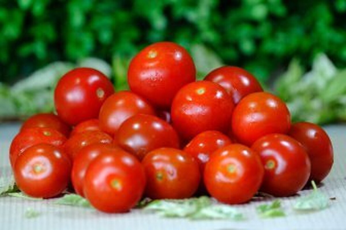لیکوپن موجود در گوجه فرنگی می‌تواند به مبارزه با افسردگی کمک کند