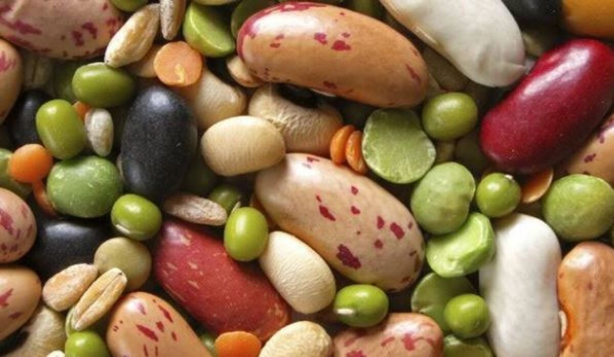 کاهش ریسک ابتلا به بیماری‌های مزمن با گنجاندن حبوبات در برنامه غذایی