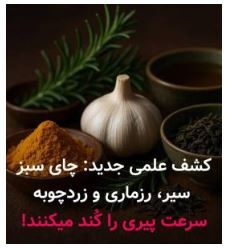 کاهش روند پیری با یک معجون گیاهی دست ساز