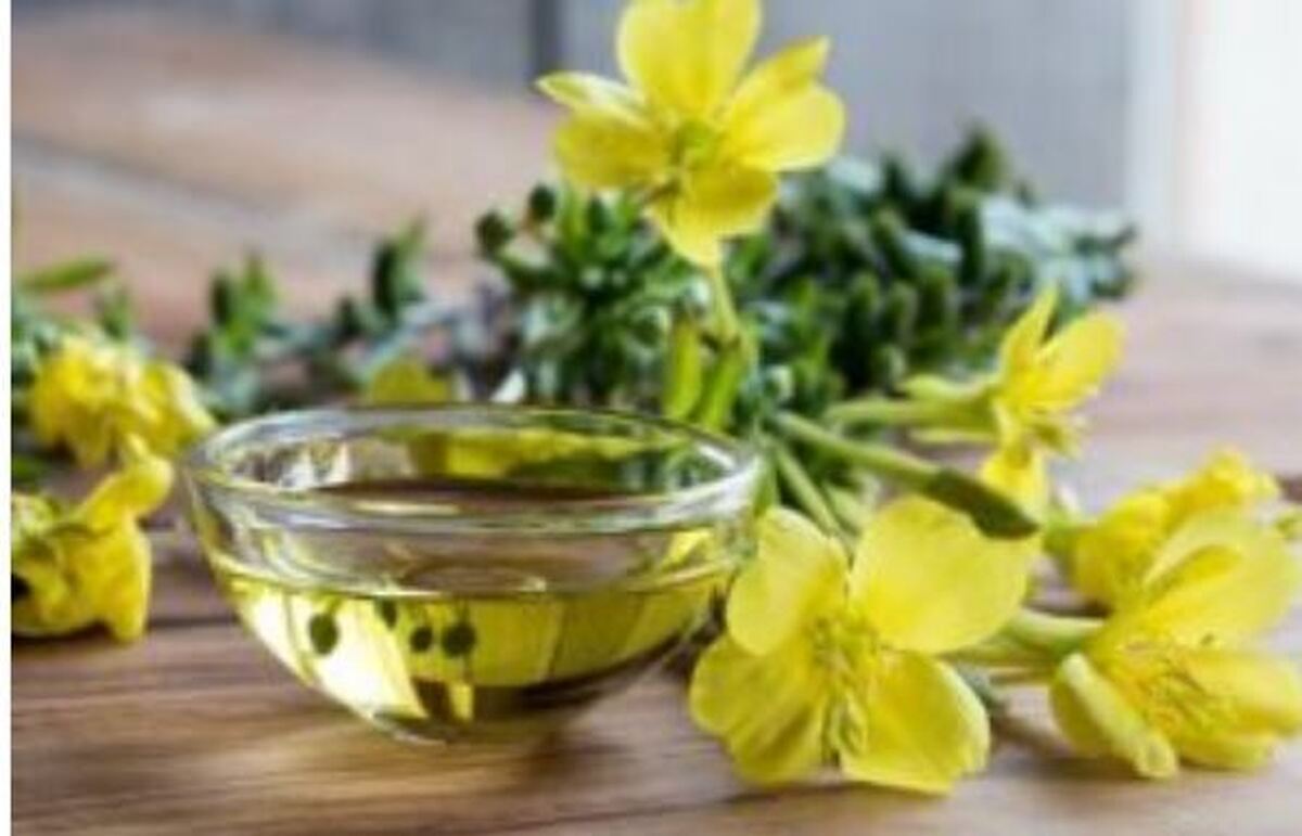 روغن گل مغربی دوست خوب بانوان در دوران قاعدگی