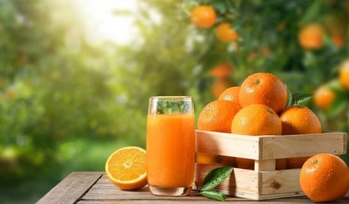 پرتقال میوه‌ای با خواص ضد سرطانی