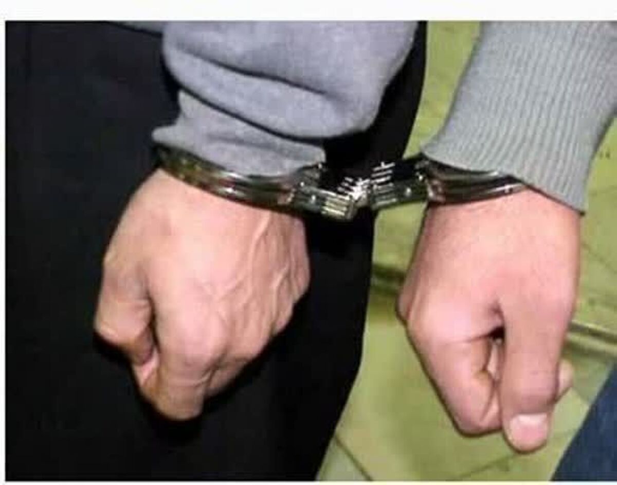 دستگیری چهار مجرم سایبری در پارس آباد