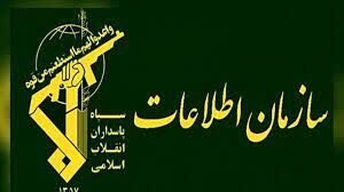 جاسوس در قالب گردشگر /دستگیری توسط سربازان گمنام امام زمان (عج)