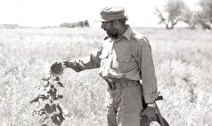 نیمه پنهان زندگی مرد علم، جهاد و عرفان