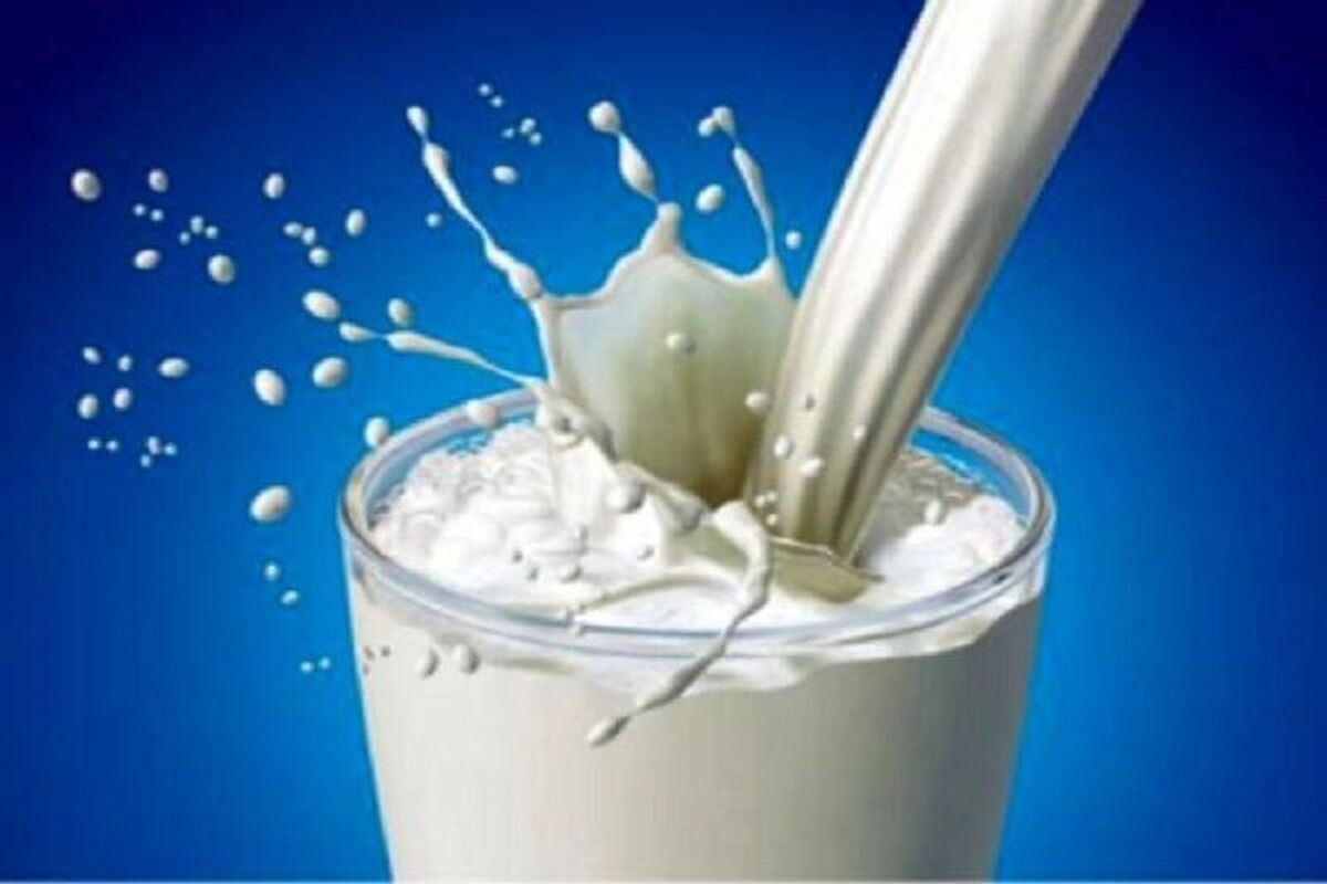 آلودگی شیر در فضای مجازی حقیقت دارد؟