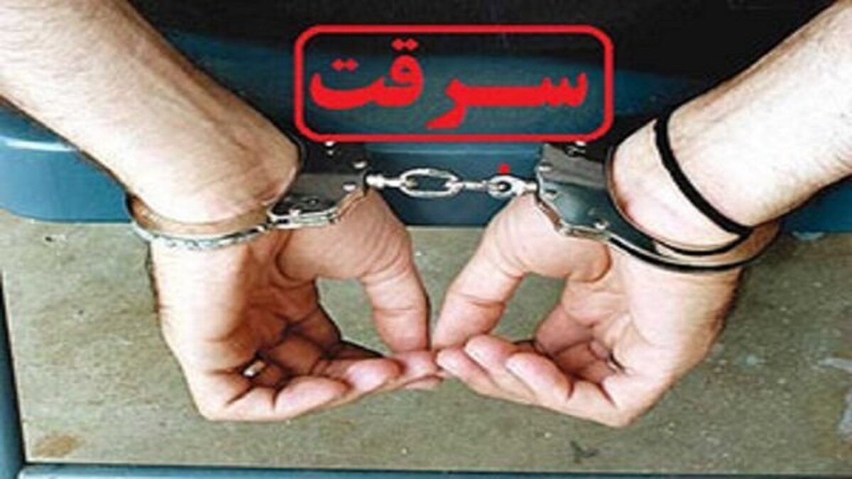 دستگیری سارق و کشف ۲۱ فقره سرقت در همدان
