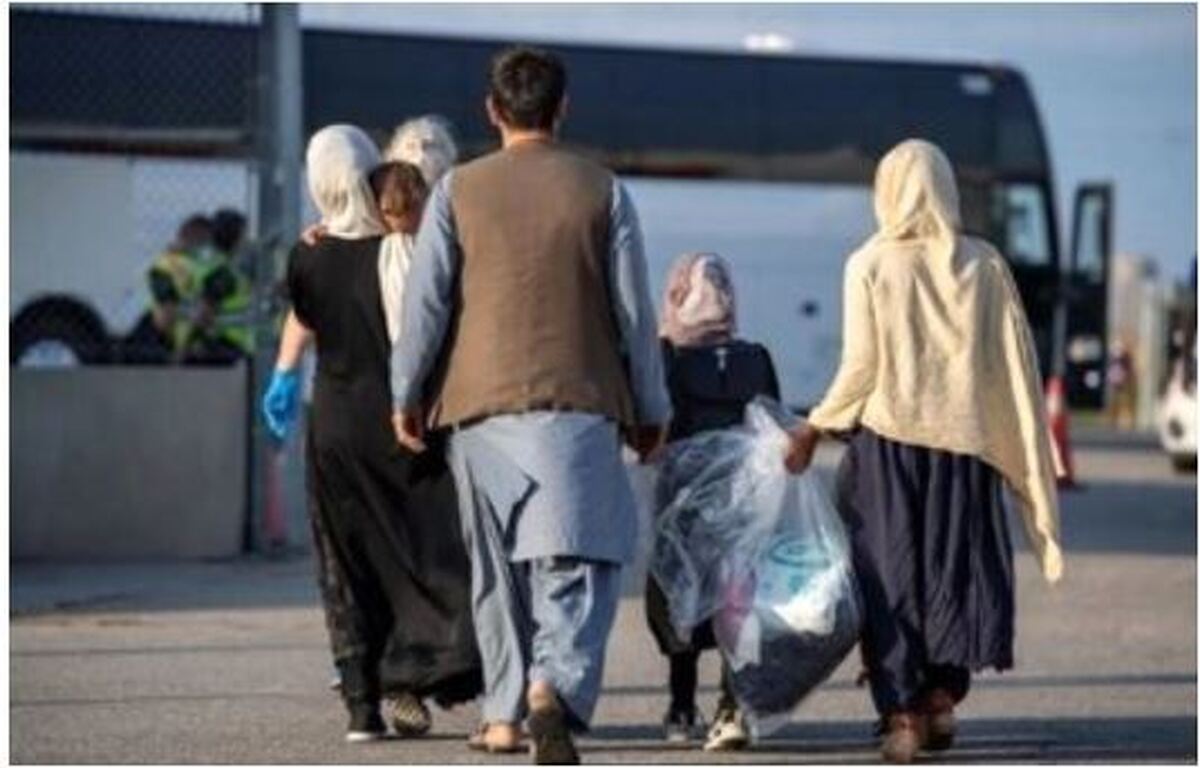 آمار جدید از خروج اتباع غیرمجاز از ایران