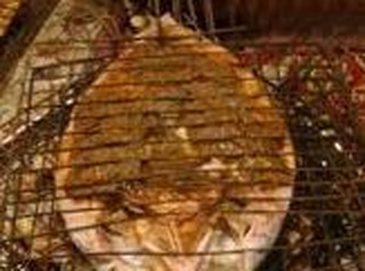 اصول پخت ماهی جنوبی صبور با سبزی مخصوص