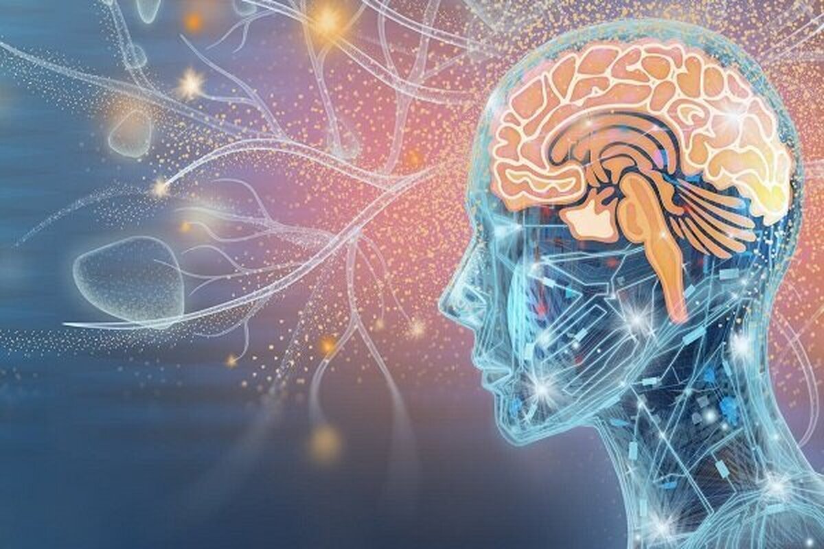 زندگی جاودانه از دیدگاه دانشمندان علوم اعصاب!