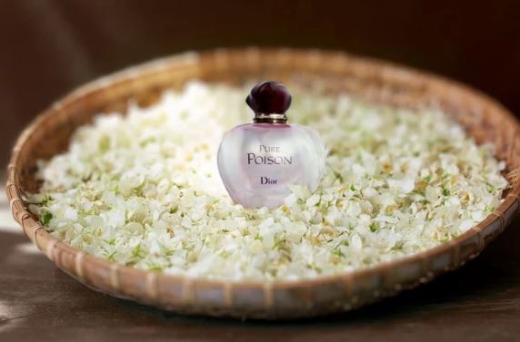 ۶ رایحه عطر که برای بالا بردن اعتماد به نفس استفاده می‌شود