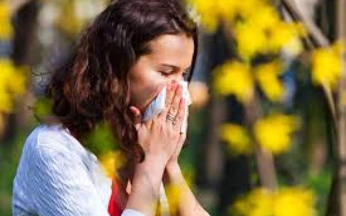 هوش مصنوعی درختان عامل آلرژی را هدف قرار میدهد!
