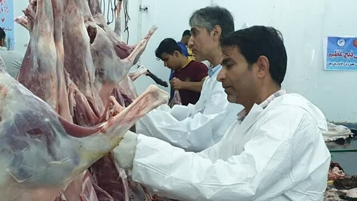 تمهیدات ویژه دامپزشکی بوشهر برای عید قربان