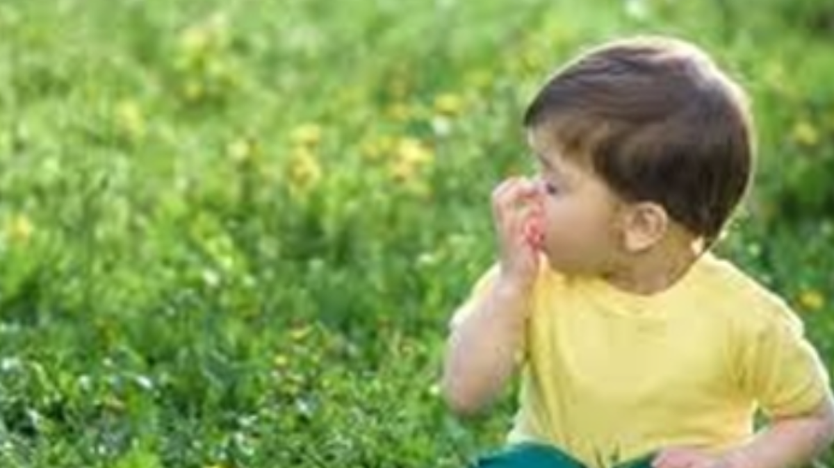 چمن‌ها و علفزار‌ها آلرژی را تشدید میکند!