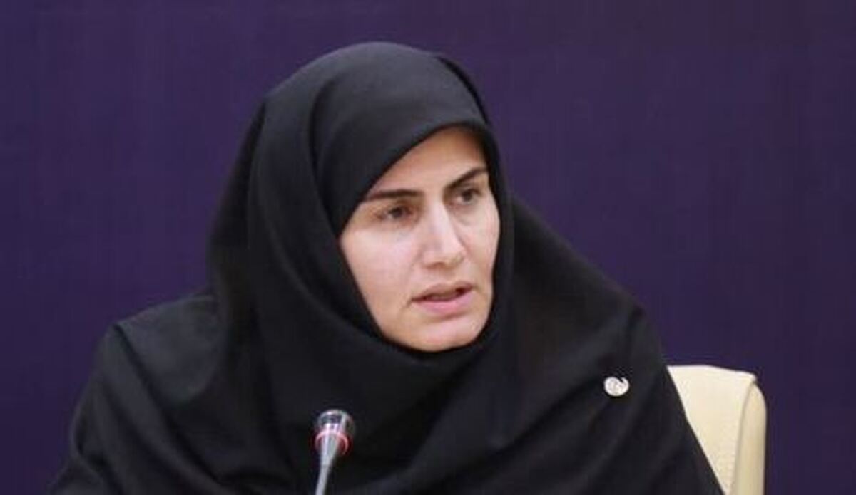 تولید ۵٠٠ مگاوات برق خورشیدی در افق بلندمدت استان زنجان