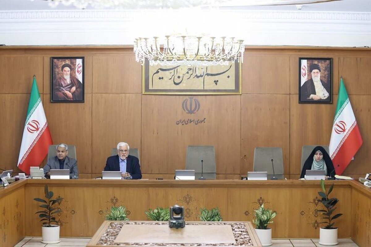 عارف: دولت به کوچکترین نقد رسانه‌ها توجه دارد