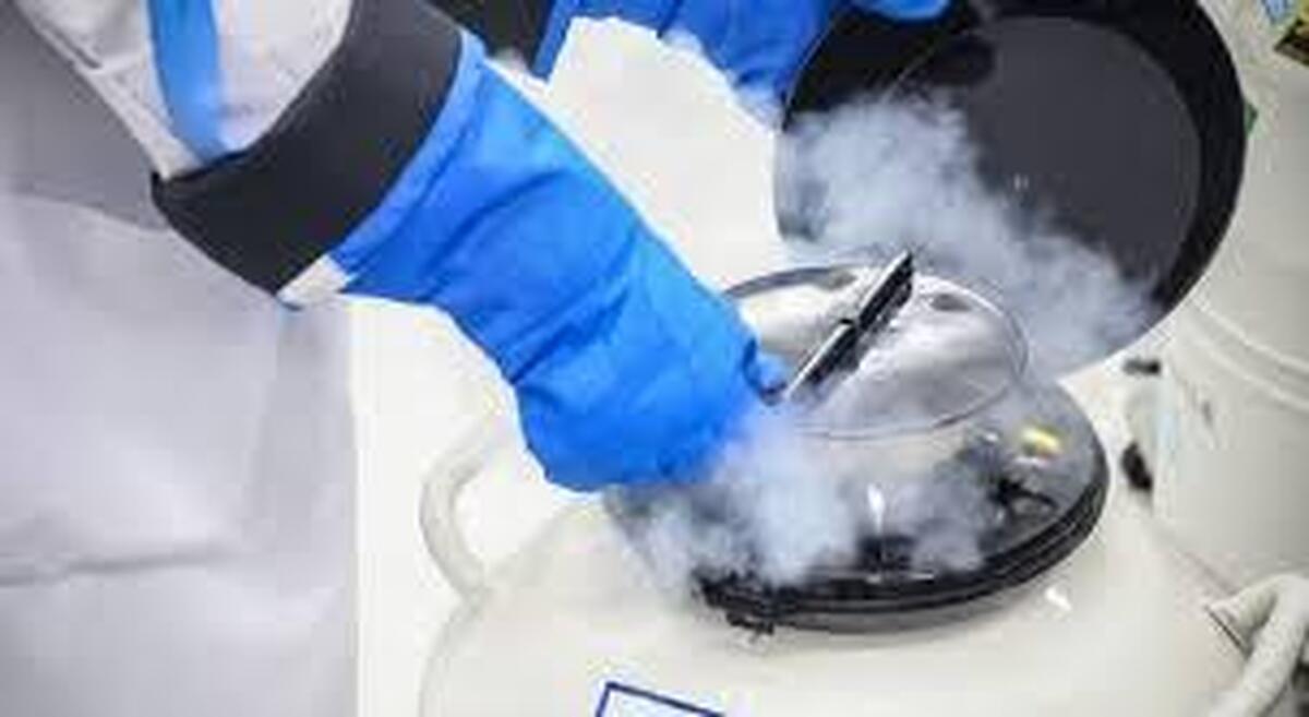 فریز تخمک مناسب برای چه افرادی است؟
