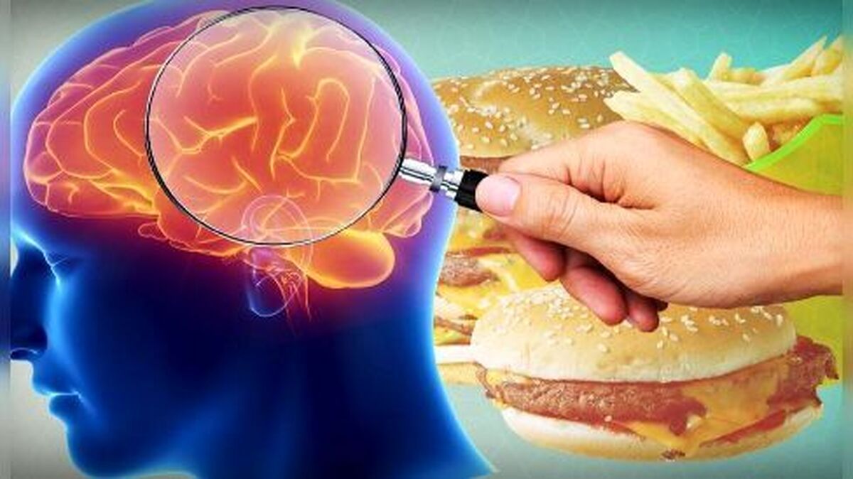 عمیق‌ترین باور‌ها درباره علت چاقی غلط بوده است!