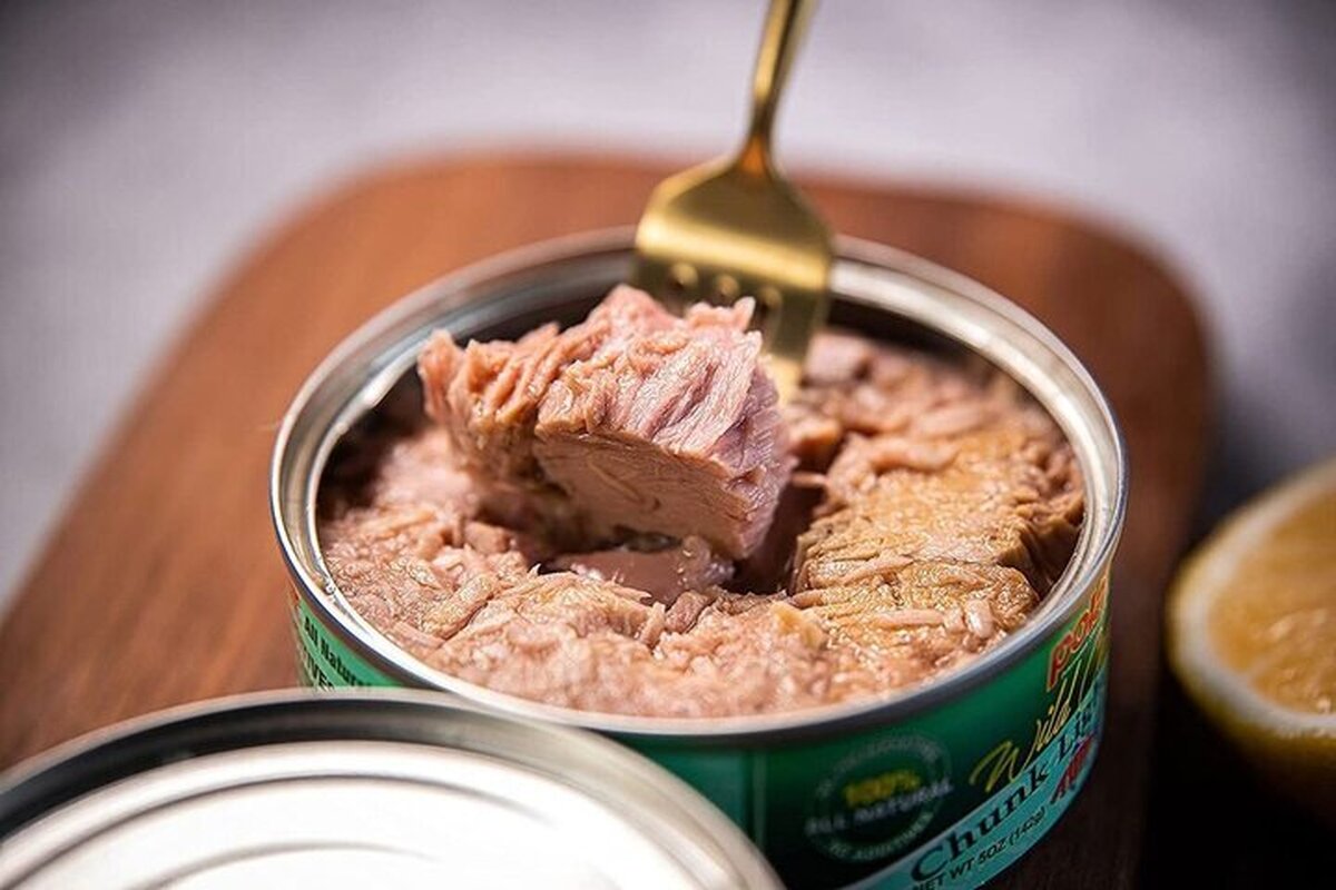 چگونه ماهی‌ها محل تجمع سموم میشوند؟