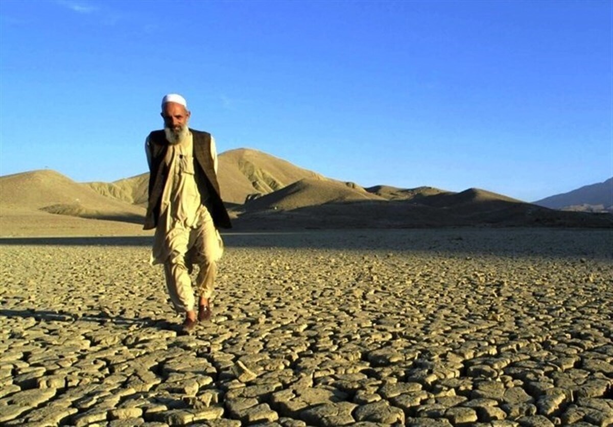 خسارت خشکسالی به ۶۲ هزار هکتار گندمزار خراسان شمالی