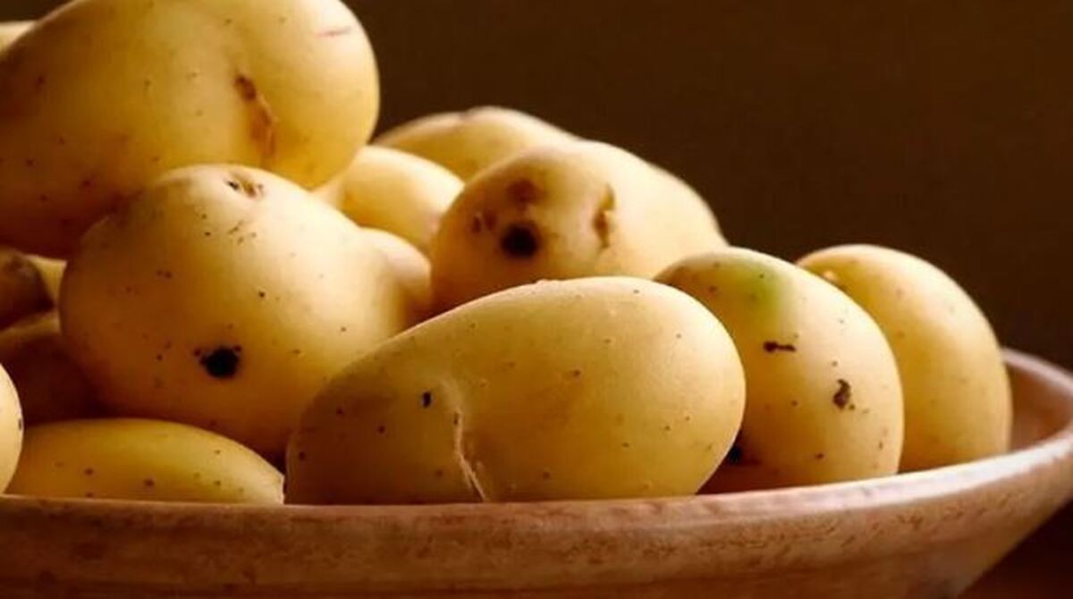 خواص جالب سیب زمینی که کسی درموردش بهتون نگفته