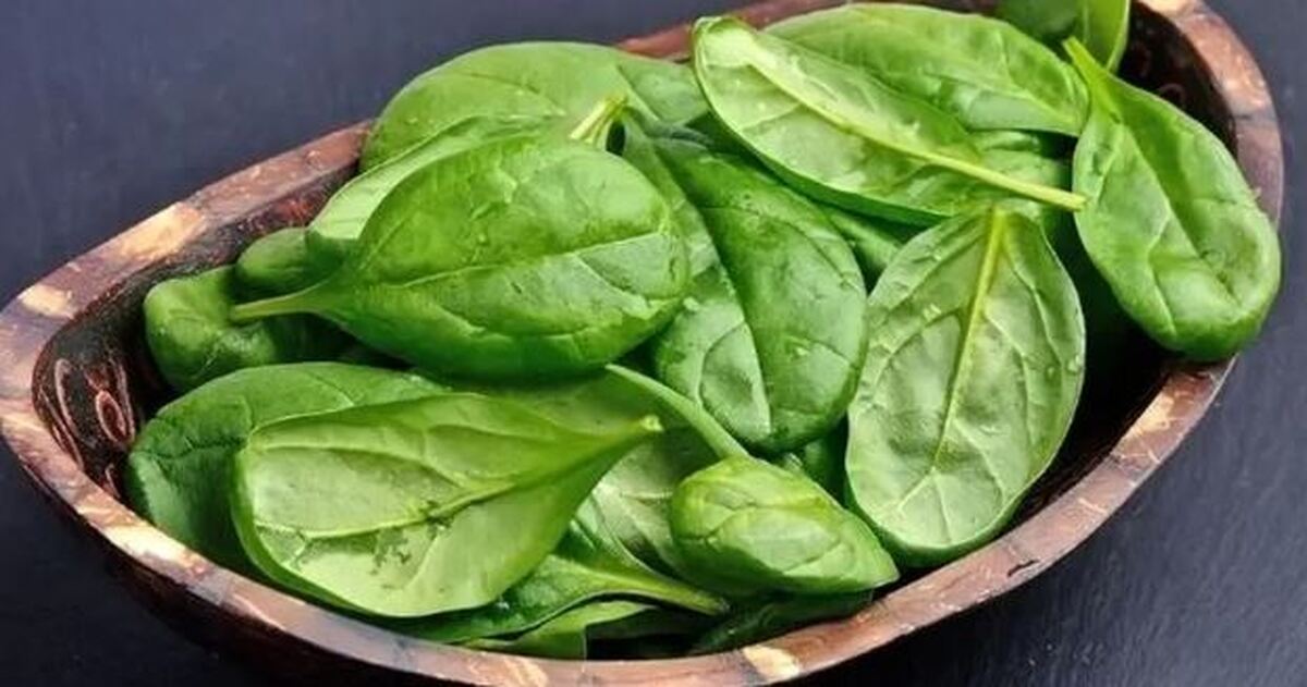 اسفناج؛ منبع غنی ویتامین آ